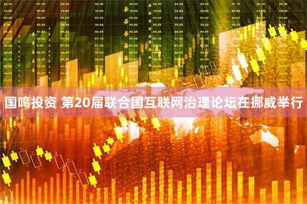 国鸣投资 第20届联合国互联网治理论坛在挪威举行