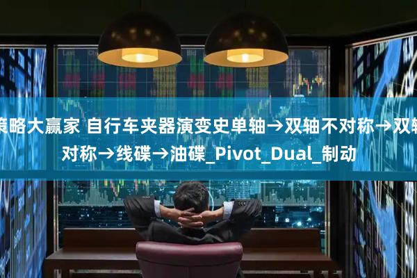 策略大赢家 自行车夹器演变史单轴→双轴不对称→双轴对称→线碟→油碟_Pivot_Dual_制动