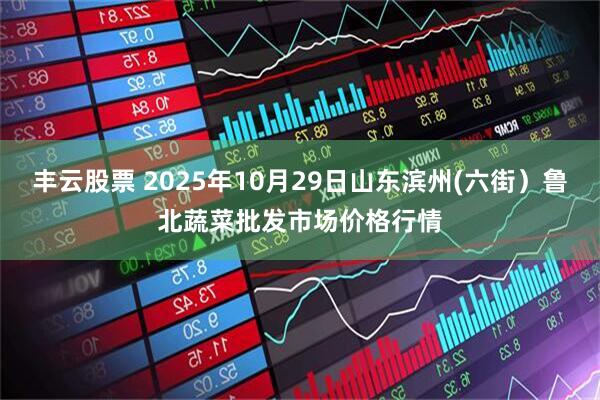 丰云股票 2025年10月29日山东滨州(六街）鲁北蔬菜批发市场价格行情