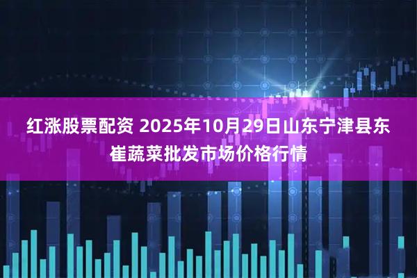 红涨股票配资 2025年10月29日山东宁津县东崔蔬菜批发市场价格行情